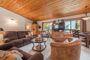 Smart TV, fireplace, video games, books