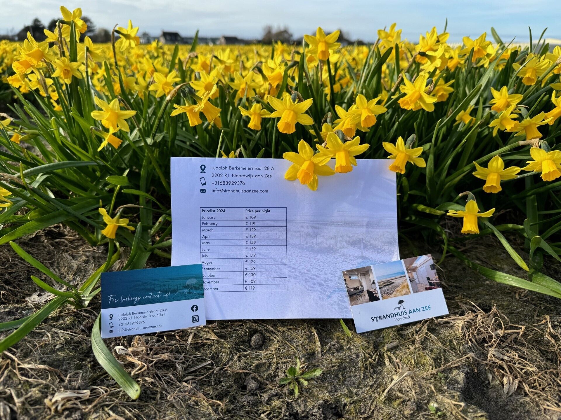 A brochure with a list of prices for different months, placed on the ground among yellow flowers.