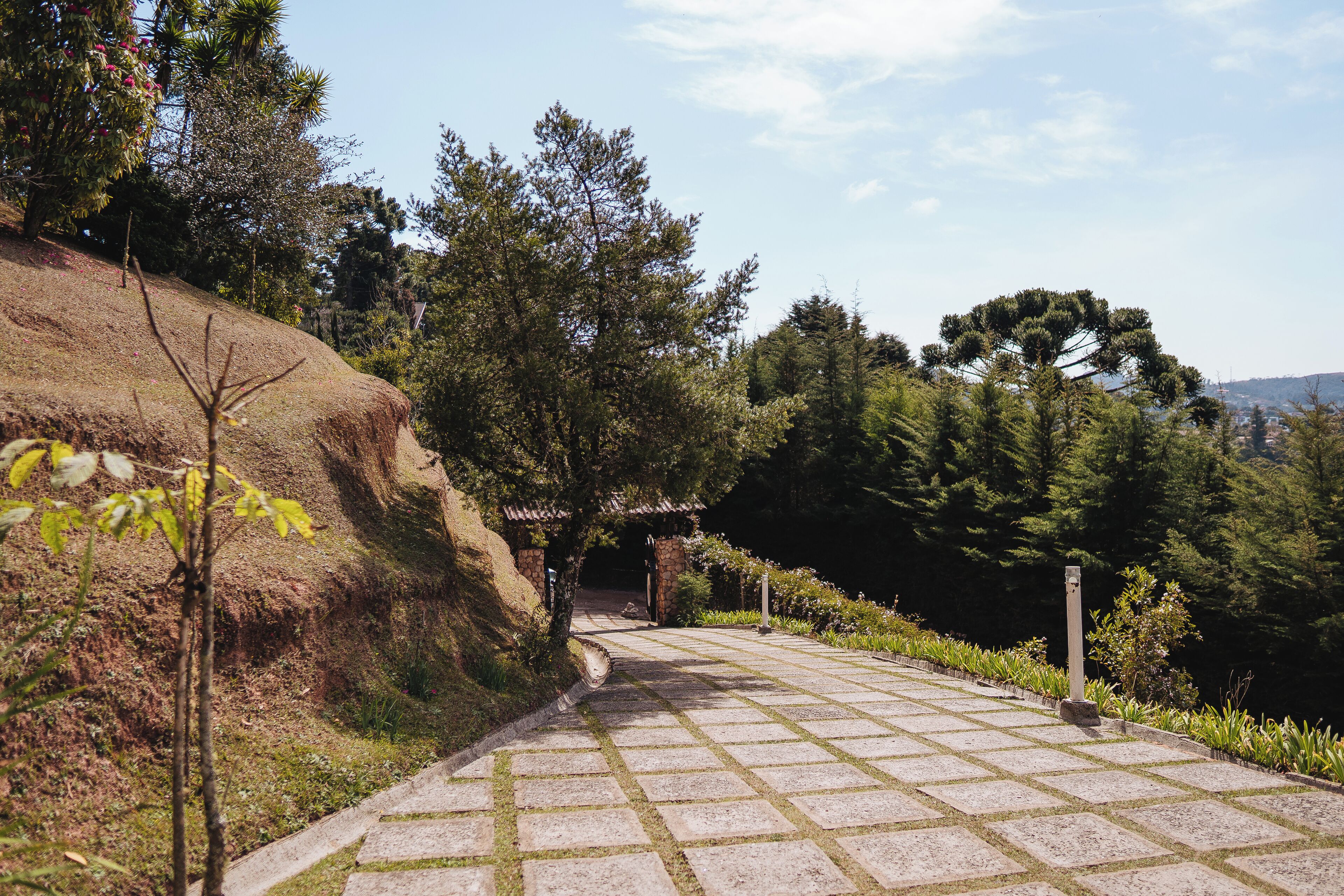 Jardim