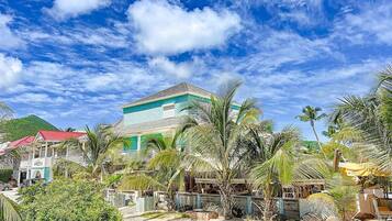 A beachfront property with a large house, palm trees, and a clear blue sky.