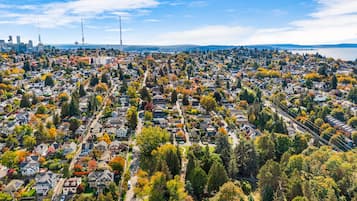 An aerial view of a residential area with houses, trees, and a distant city skyline.
