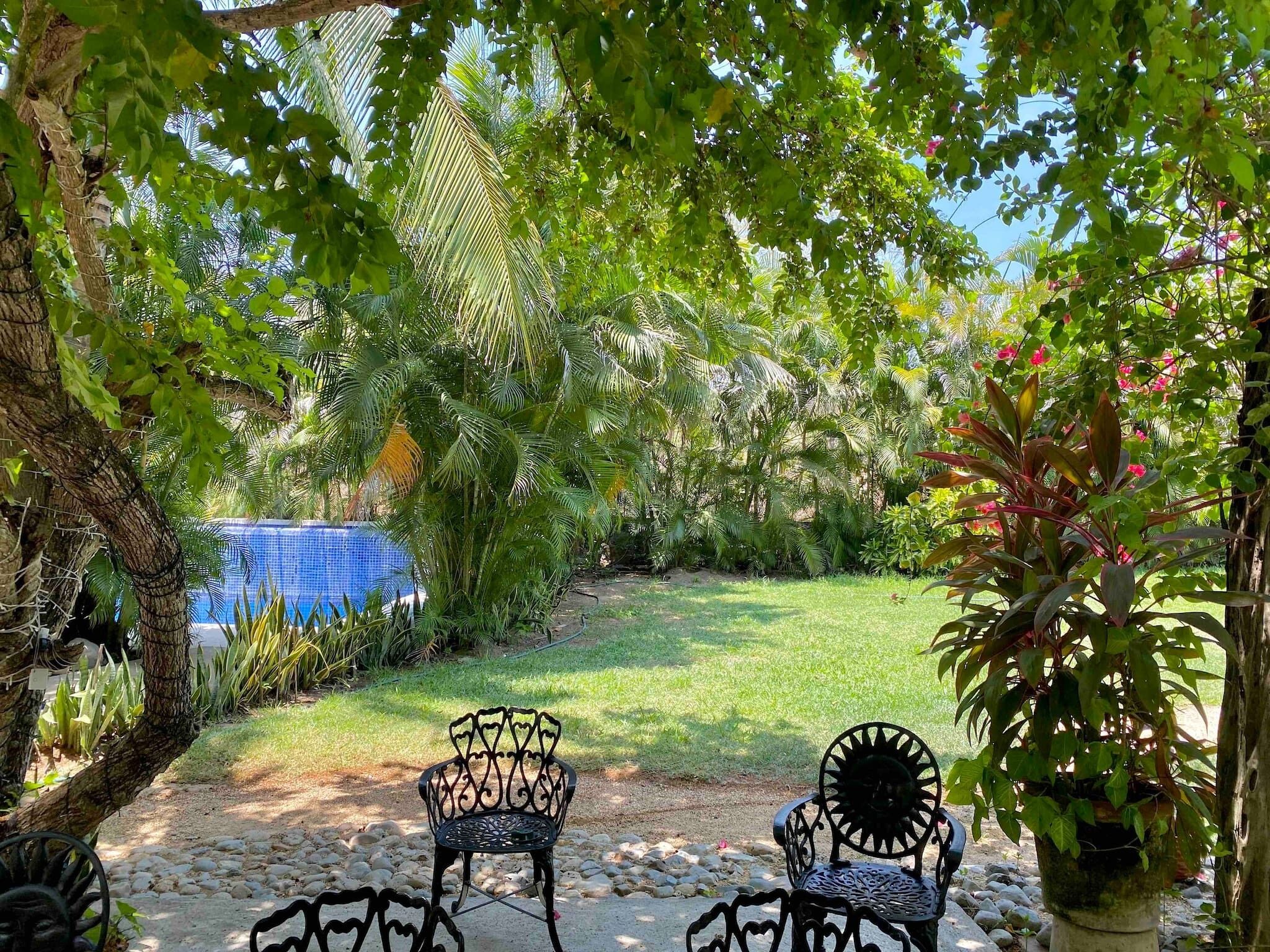 A garden with two metal chairs, a blue mesh structure, and various plants.
