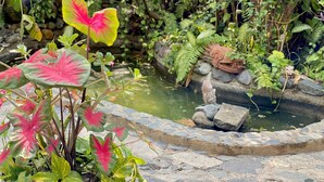 A garden with a pond, surrounded by various plants and a decorative frog statue. - Villa Tortolas 5 Min Walk To La Ropa Beach (Zihuatanejo)