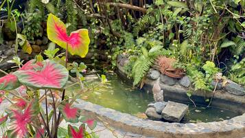 Villa, 2 habitaciones, con acceso para personas discapacitadas, Terraza | Áreas de la propiedad