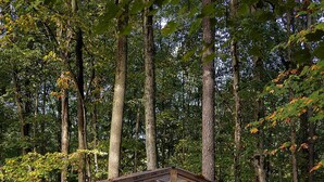 Un quiosco de madera rústica en un área boscosa, con un sendero de grava.