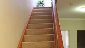 A carpeted staircase with wooden handrails and a wooden ball finial at the top.
