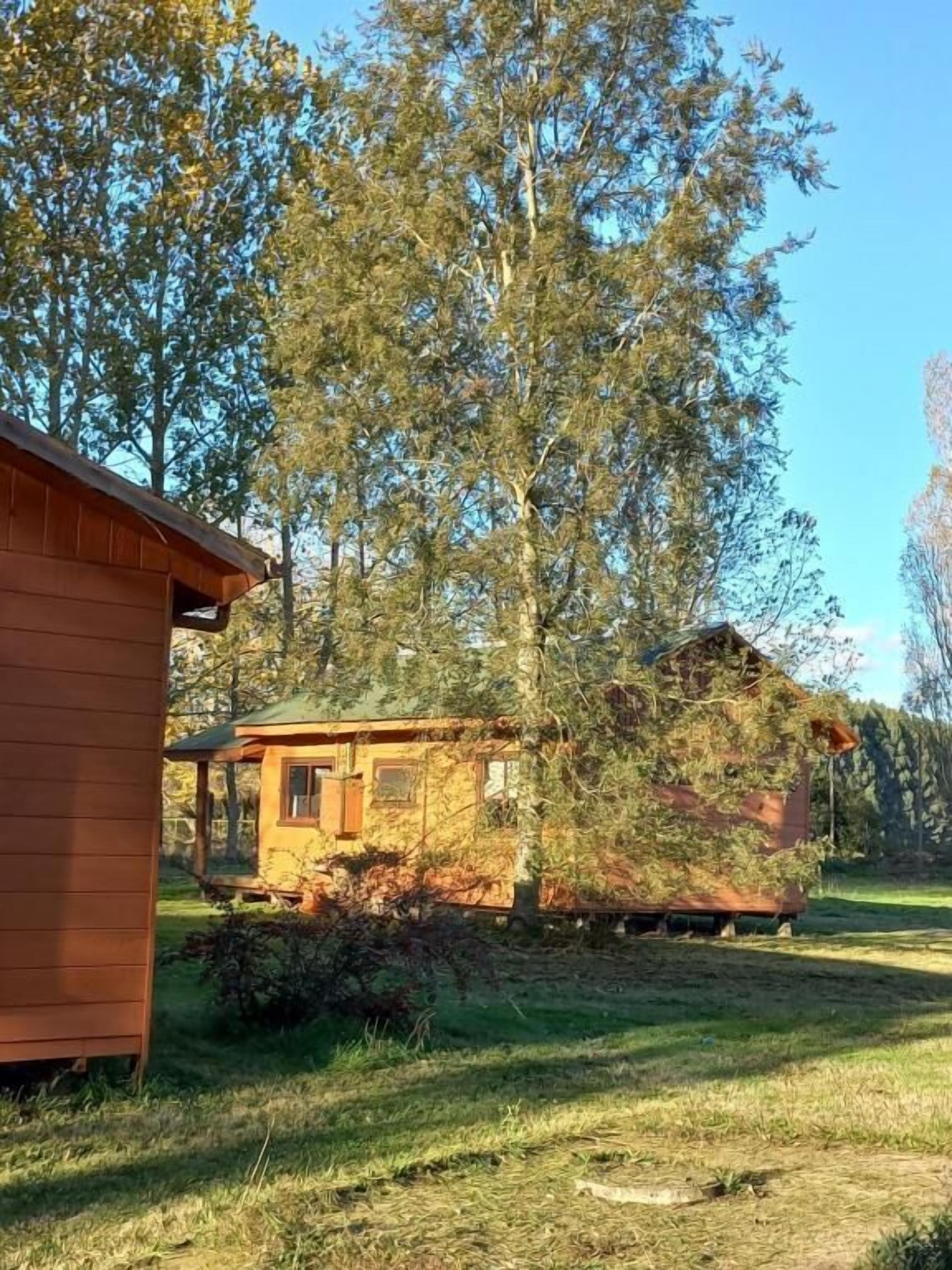 A wooden cabin with a small porch and a shed in a grassy area with trees.