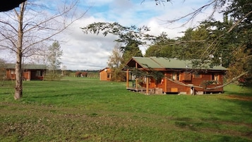 Una cabaña rústica con porche, rodeada por un campo cubierto de hierba y árboles.