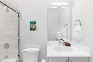 A modern bathroom with a glass shower enclosure, a white sink with a mirror, and a toilet. - Luke's Jedi Meditation Chamber (Seattle)