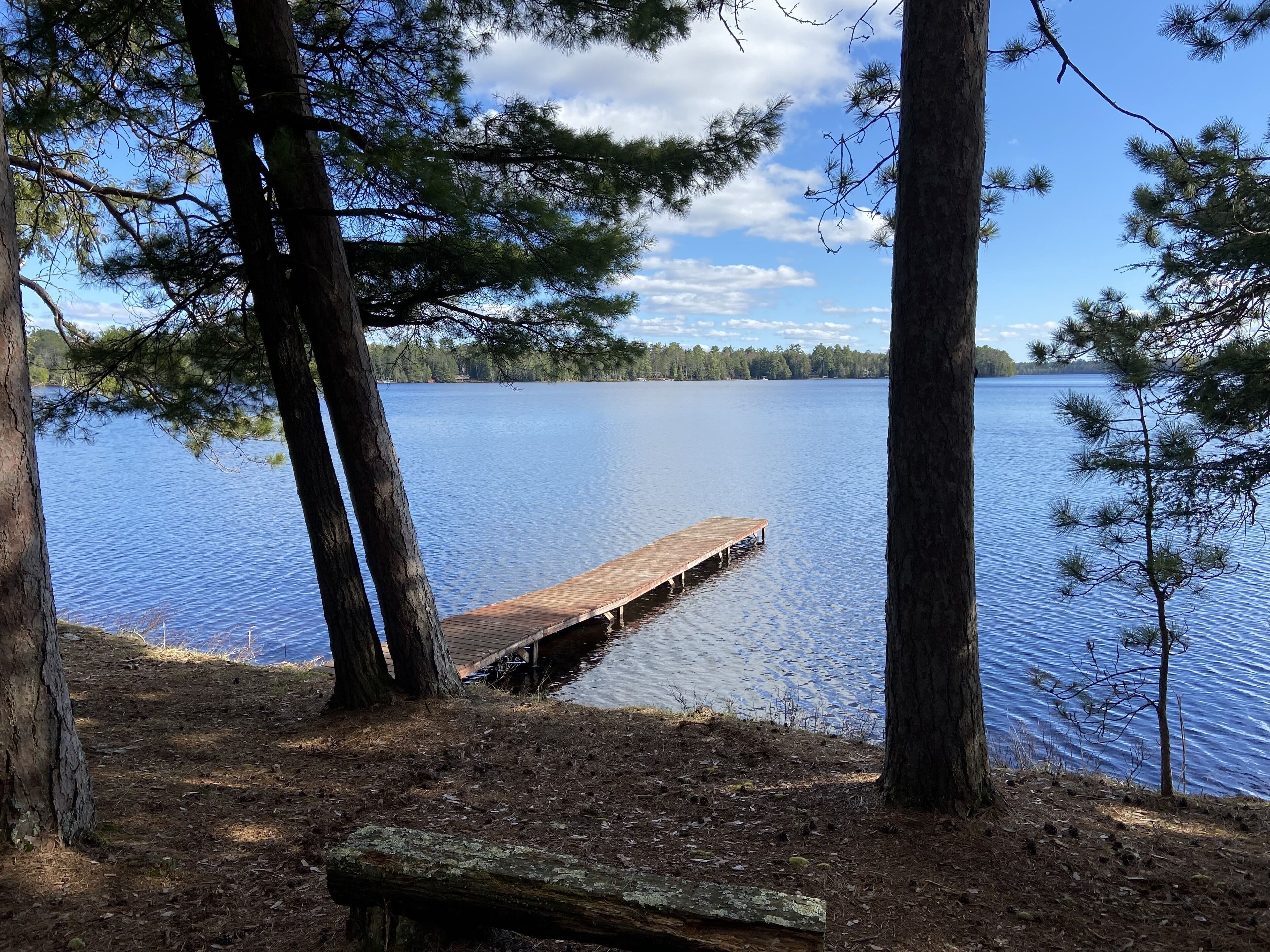 Three Lakes Chain Lakeside Cabin -Reed Road Retreat 