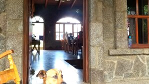 A dog sitting in a stone-walled hallway with a wooden door labeled "Casa de Gaizett." - Casa Qatzij - Guest House (San Lucas Toliman)