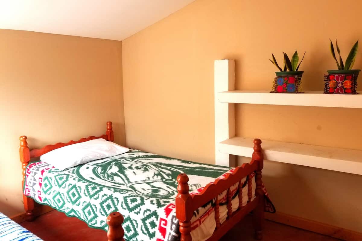 Una cama individual con una colcha estampada, cabecera de madera y dos plantas en macetas sobre un estante blanco.