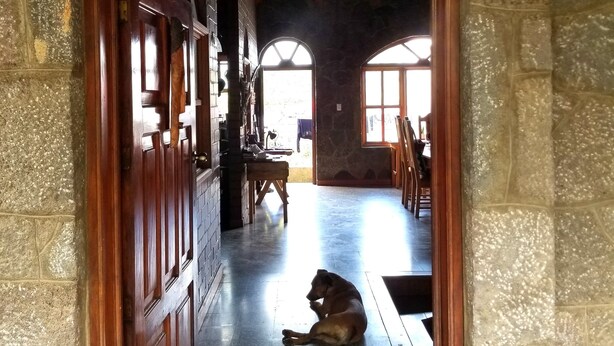 A hallway with a dog sitting in the middle, leading to a room with a sign reading "CASA QATZTEJ". - Casa Qatzij - Guest House (San Lucas Toliman)