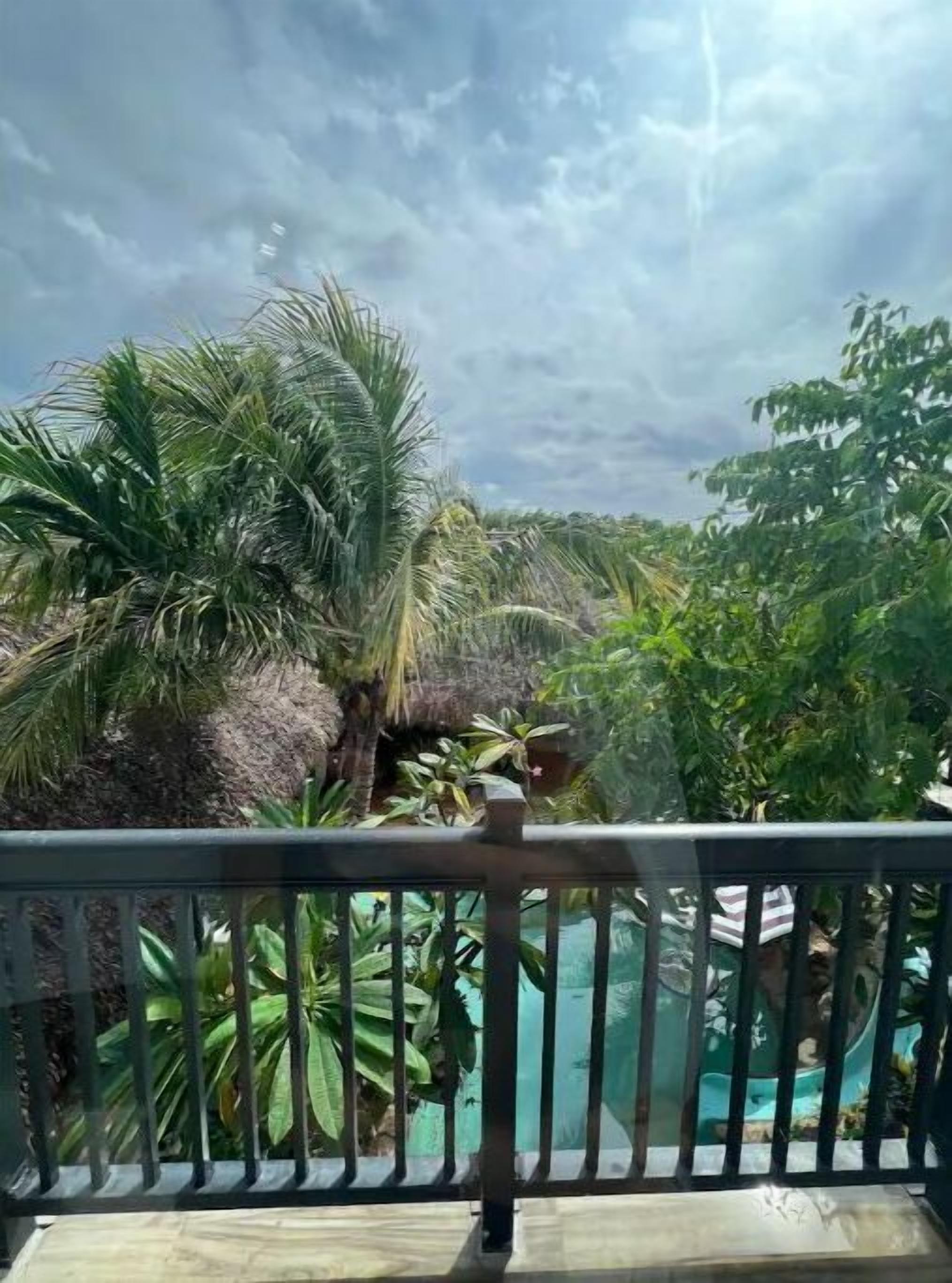 Tiki Studio 2