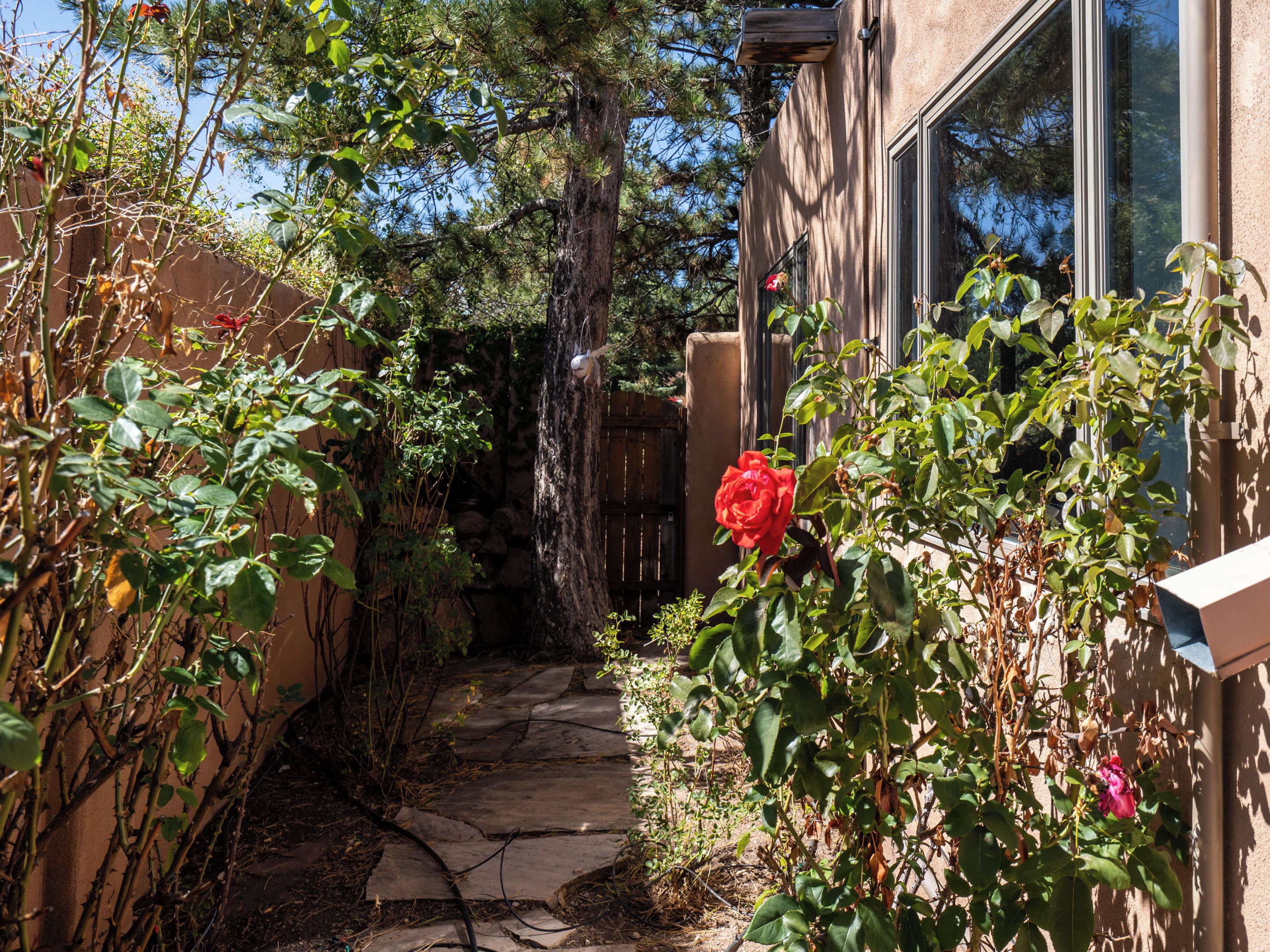 A stone pathway leading to a building with a window and a door.
