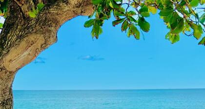 Maison Marouka Pied dans l'eau