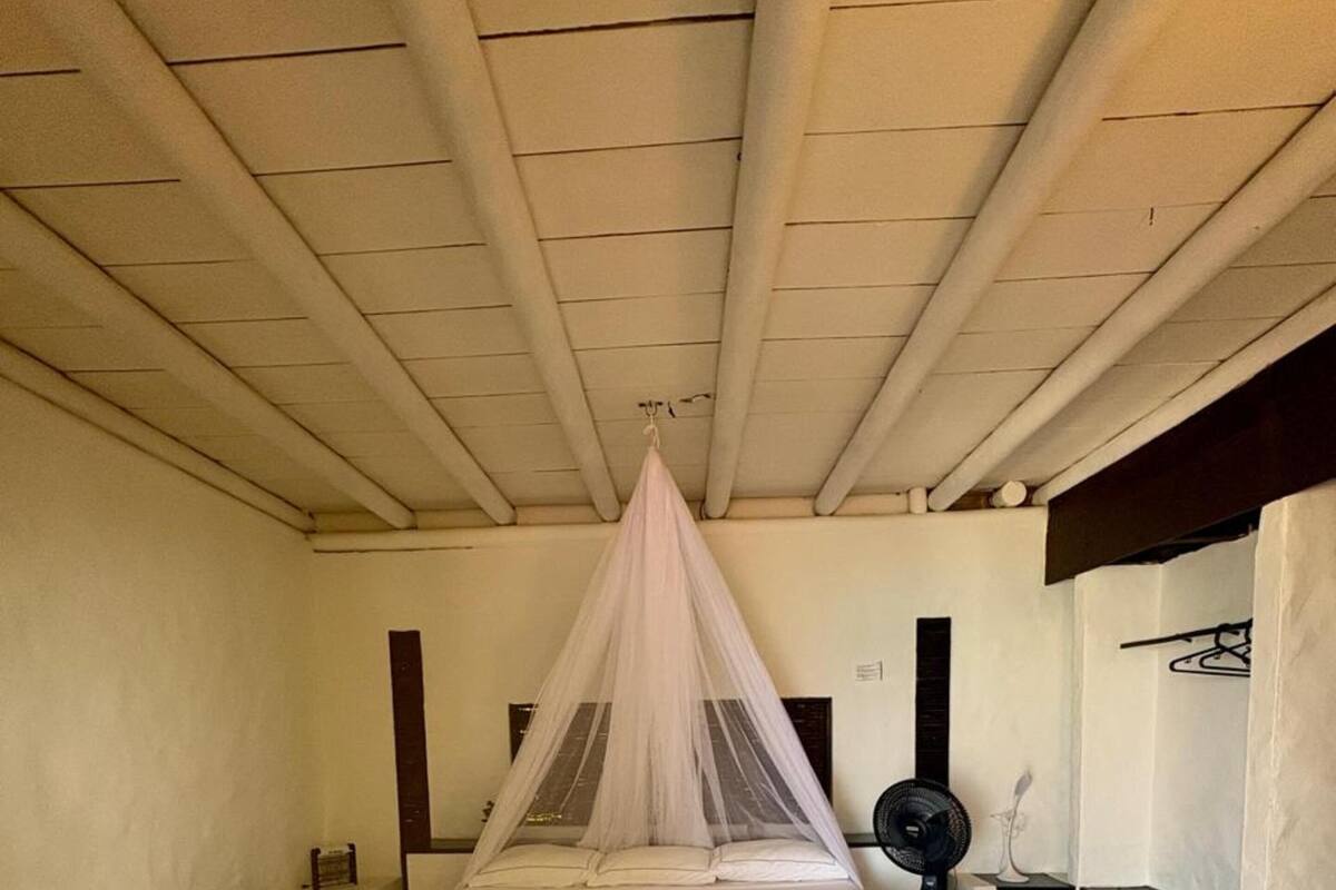 A room with a bed, a ceiling fan, and a window.