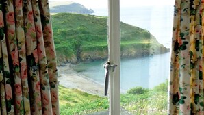A window with floral curtains, a view of a coastal landscape, and a small bird perched on the window sill.
