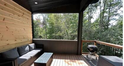 Ski, Bike and family fun at "The Future" cottage.