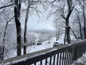 Property grounds - Relax with the whole family or a group of friends at this peaceful mountain home (Beech Mountain)