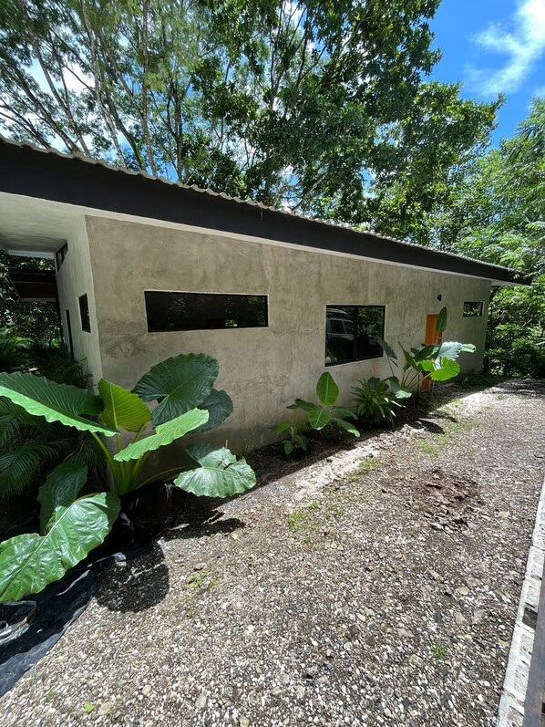 Property grounds - Beautiful house in the middle of the jungle, in the heart of Santa Teresa (Santa Teresa)