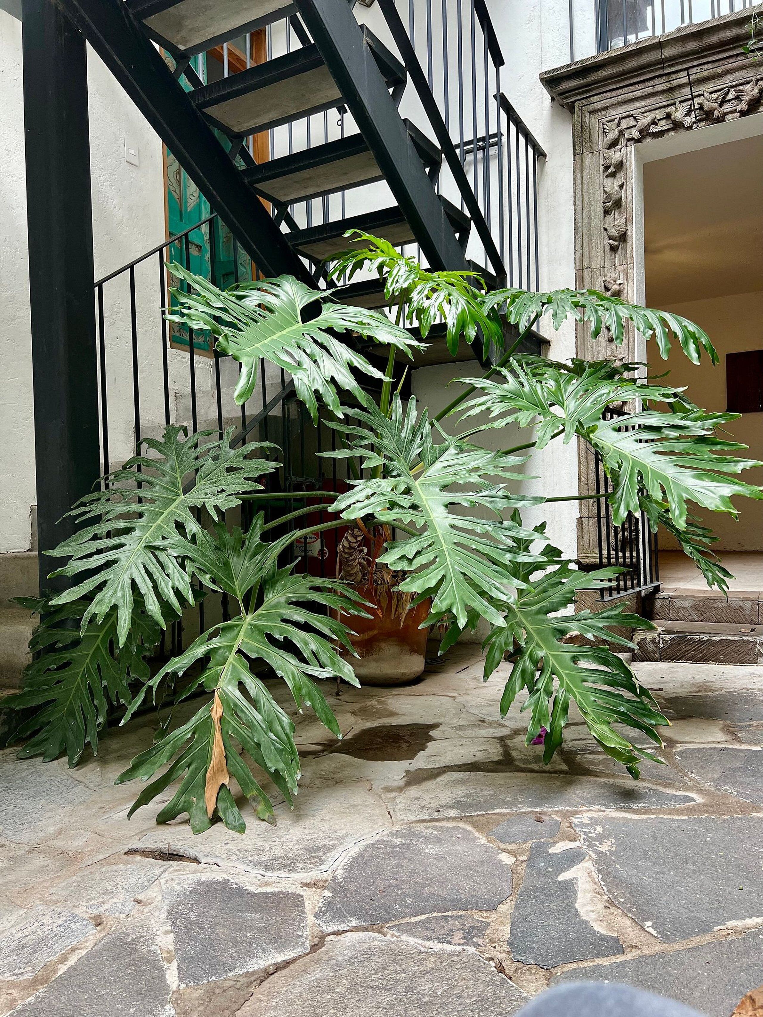 อพาร์ทเมนท์ | การตกแต่งภายนอก