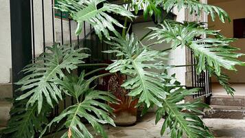 Departamento | Detalle exterior