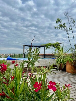 Pool - Casas del Obraje (San Miguel de Allende)