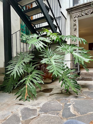 Apartamento | Detalhe da fachada