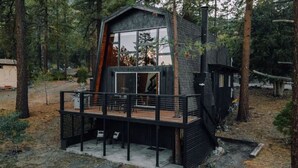 Eine Hütte mit einer Terrasse, umgeben von Bäumen.