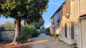 A gravel path leading to a stone building with shutters, surrounded by greenery and a large tree.