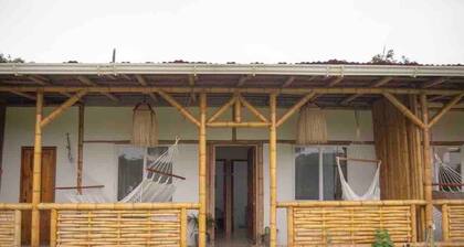 Private New 2BD/1Bath Bungalow on Lush Green Land