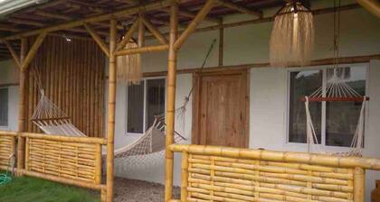 Private New 2BD/1Bath Bungalow on Lush Green Land