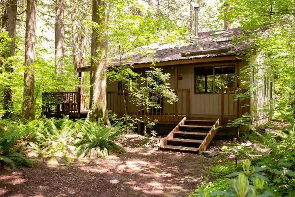 Vintage Cabin, walking trails, stream, WiFi, wood stove, 20 min drive to skiing
