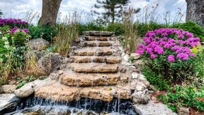 Een stenen trap leidt naar een kleine waterval, omringd door weelderig groen en bloeiende planten.
