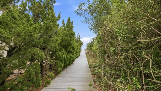 Un sentier en bois, bordé d’arbres et d’arbustes verdoyants, qui mène à un site naturel.
