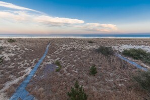 Beach - Dolphin Watch - Oceanfront - North End VB (Virginia Beach)