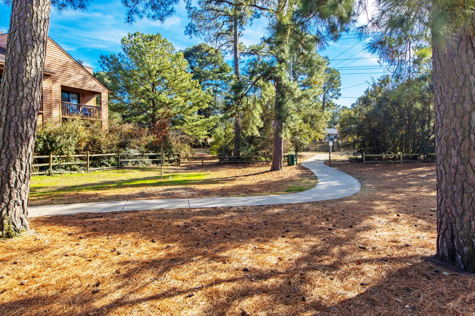 A residential area with a curved driveway, a wooden house, and a fenced yard with pine trees.