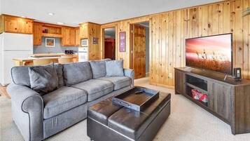 Smart TV, fireplace, video games, DVD player