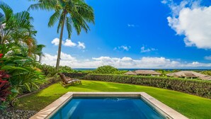 Une piscine rectangulaire à l’eau d’un bleu limpide, entourée d’une pelouse bien entretenue et d’une variété de plantes tropicales.
