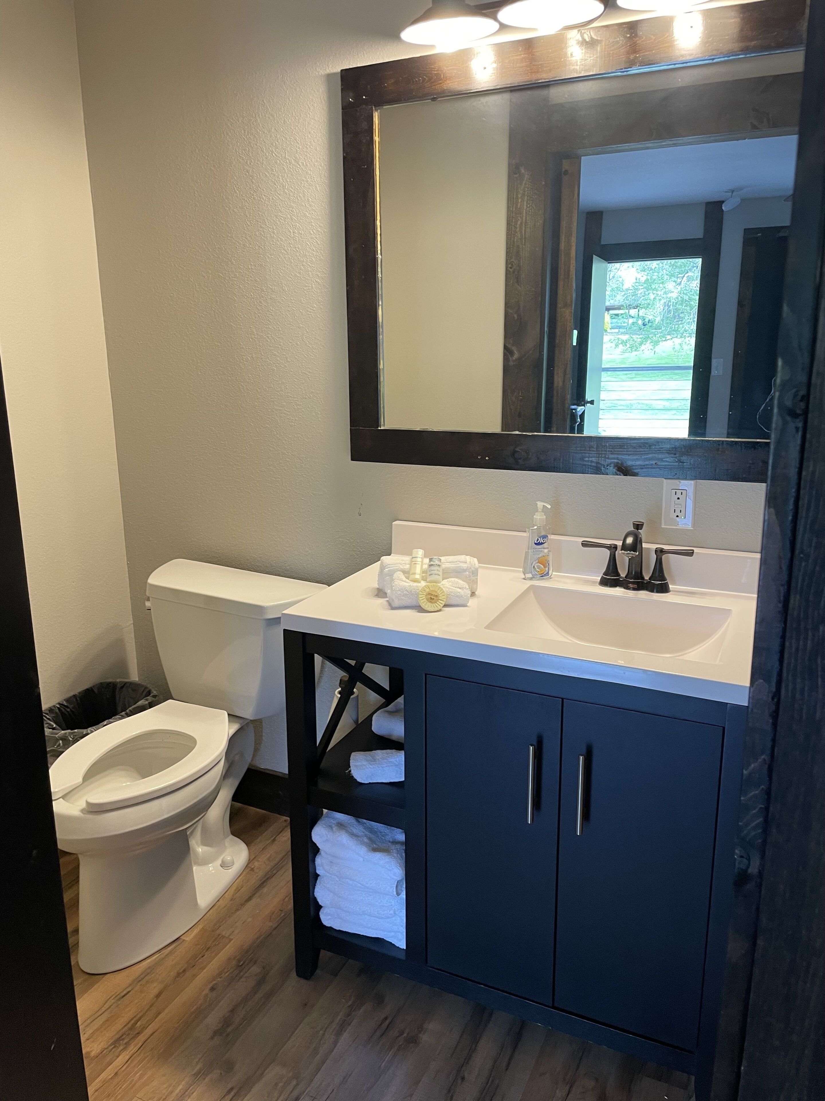 A bathroom with a white toilet, a sink with a mirror above it, and a cabinet below.