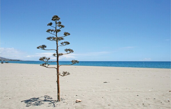Vlak bij het strand