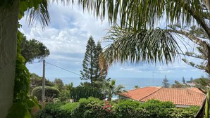 Uklassifisert bilde, 5 av 13, knapp