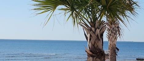 Beach nearby, sun loungers, beach towels