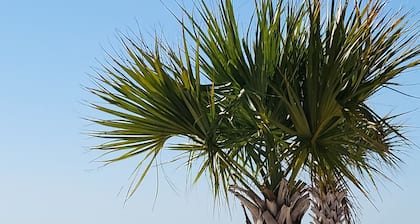 Coastal Jazz has beautiful Gulf Views with only a 3-minute walk to the beach.