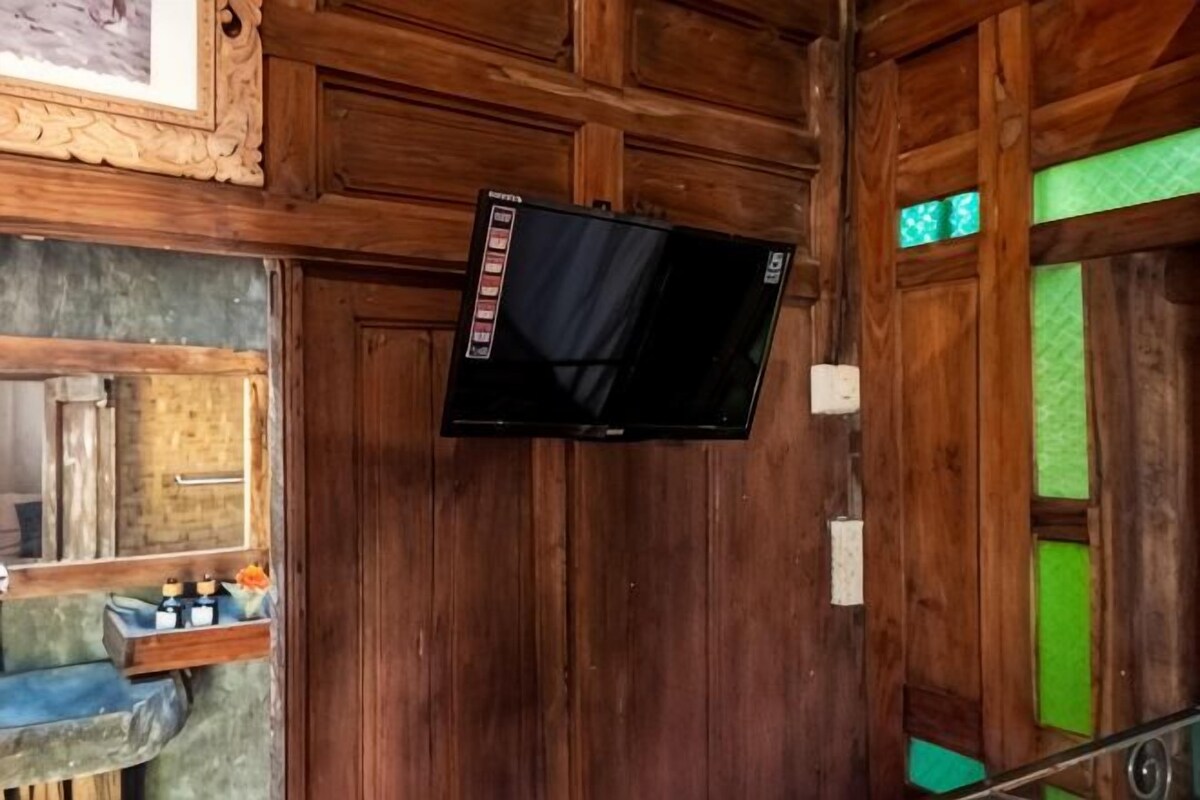 Television