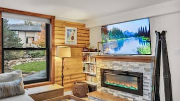 TV, fireplace, DVD player