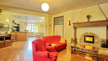 Télévision, cheminée, lecteur de DVD