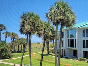A modern building with a green roof, surrounded by well-maintained palm trees and a clear sky.