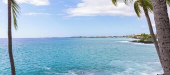 New Listing. Oceanfront condo with breathtaking ocean views.